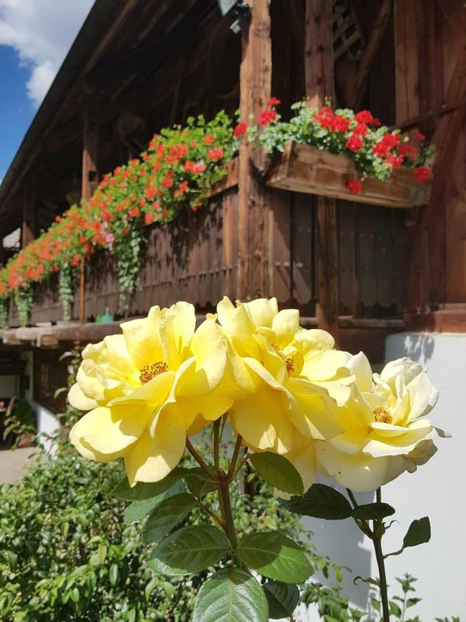 Muellerhof Villa Anterselva di Mezzo Eksteriør billede